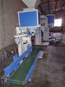 全自动食品颗粒称重定量包装机 精准高效，助力现代食品工业