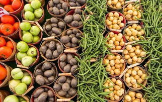 共享农庄新玩法 初级农产品变现全攻略