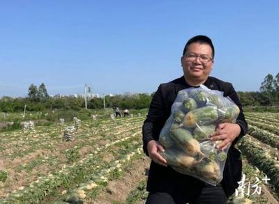 清明正是农忙时,记者直击濠江春耕现场