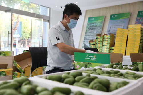 河北顺平 电商助农产品打开“云”销路